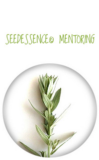 Seedessence© Mentoring 