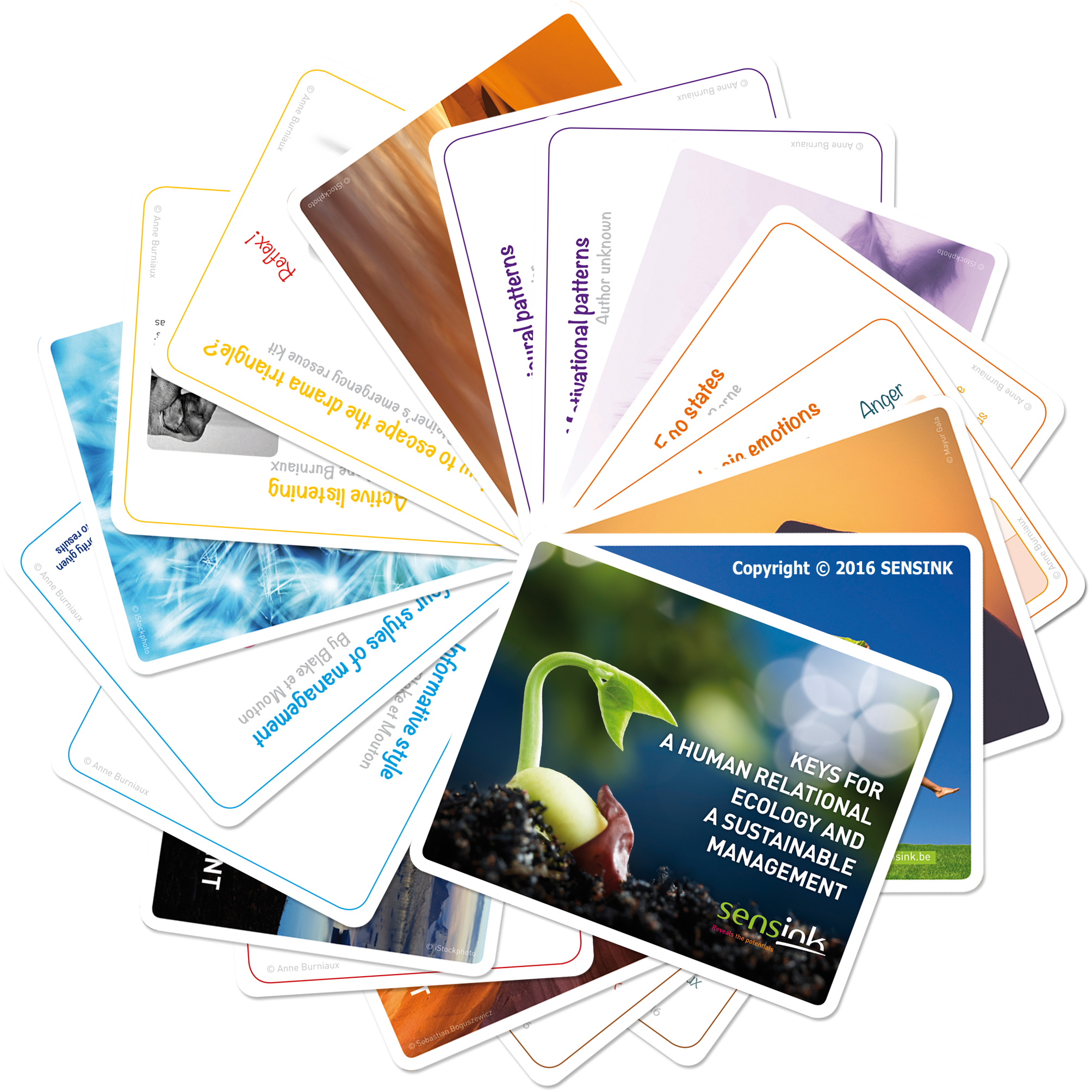 Card pack SENSINK - Mentoring and compentency development
