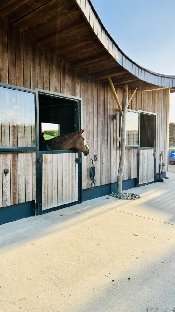 sensink-consultance-ressources-humaines-coaching-durable Aquila Farm