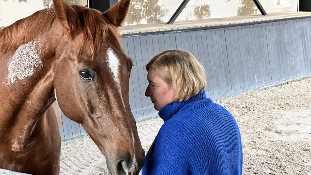 Atelier avec les chevaux Belgique, Coaching durable