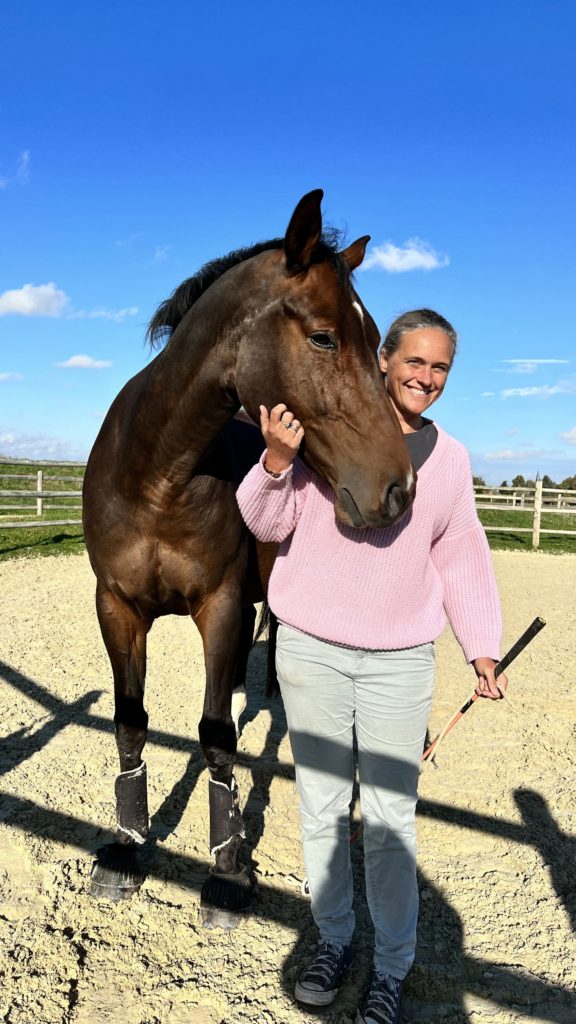 Atelier avec les chevaux Belgique, Coaching durable