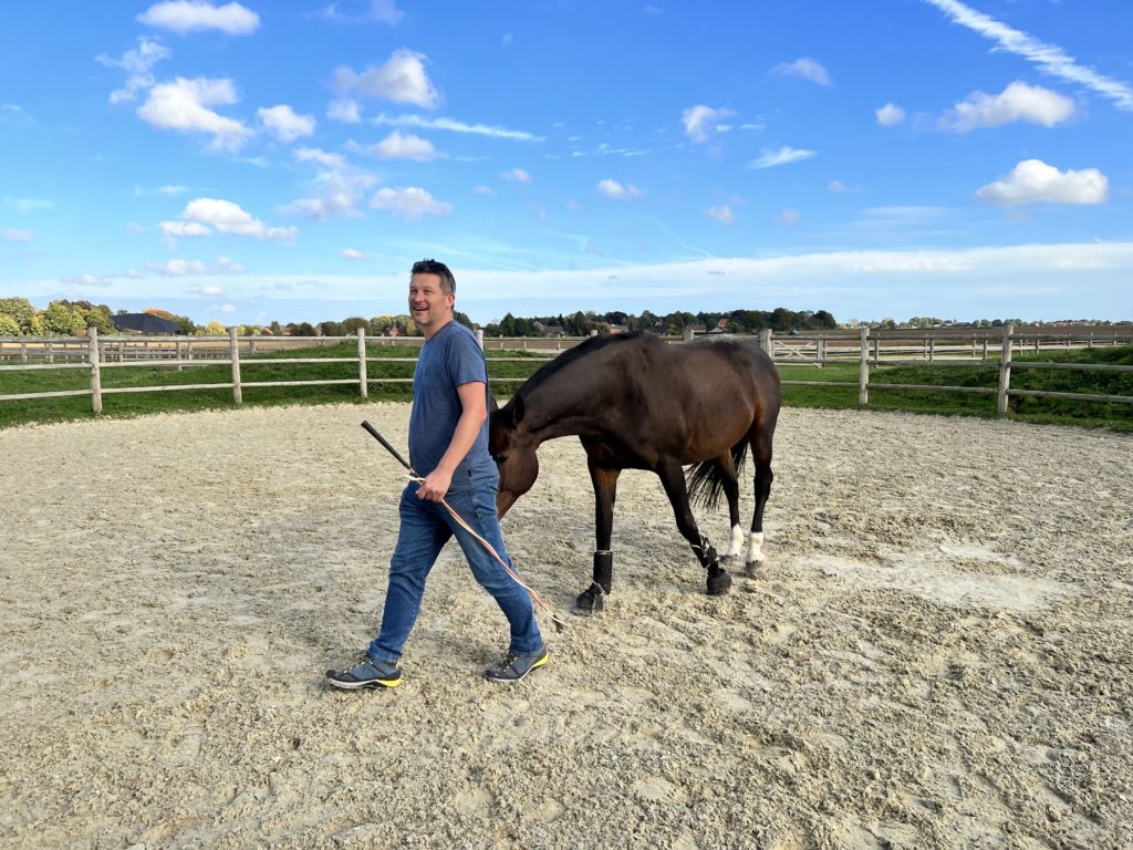 sensink-consultance-ressources-humaines-coaching-durable Atelier chevaux