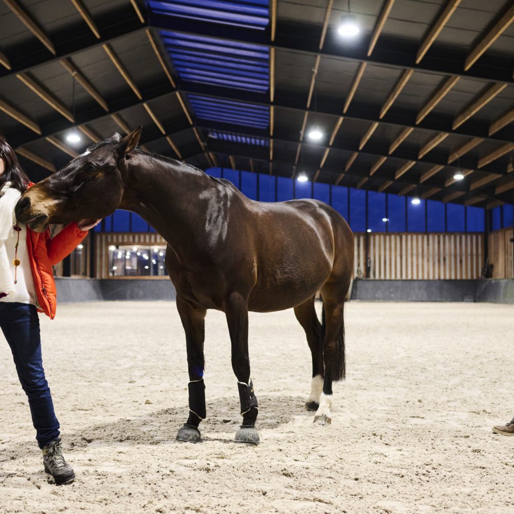 NEW ! 16 juin 2022 : Notre Atelier expérientiel PCM® facilité par les chevaux.